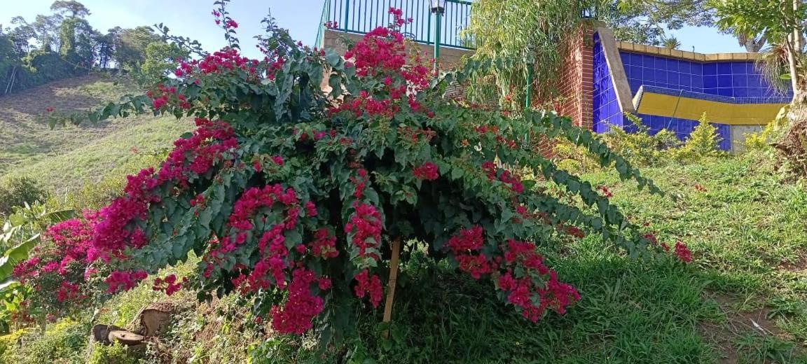 Finca Hotel Villa Ilusion La Badea エクステリア 写真