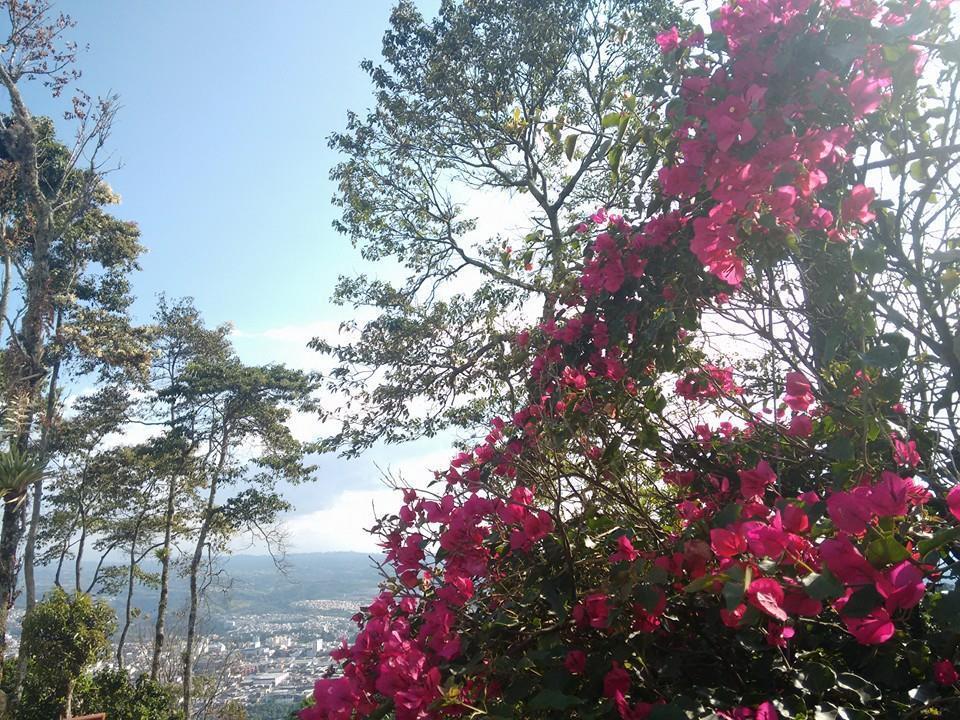 Finca Hotel Villa Ilusion La Badea エクステリア 写真